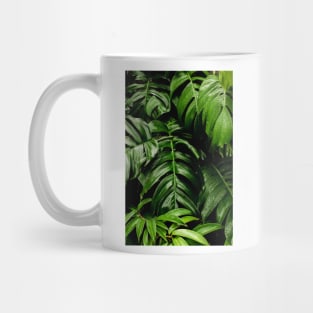 Photo of green leaves Mug